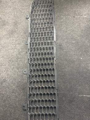 2012-2019 FIAT 500 GARAGE PRO BUMPER GRILLE (P) PN: 53250383