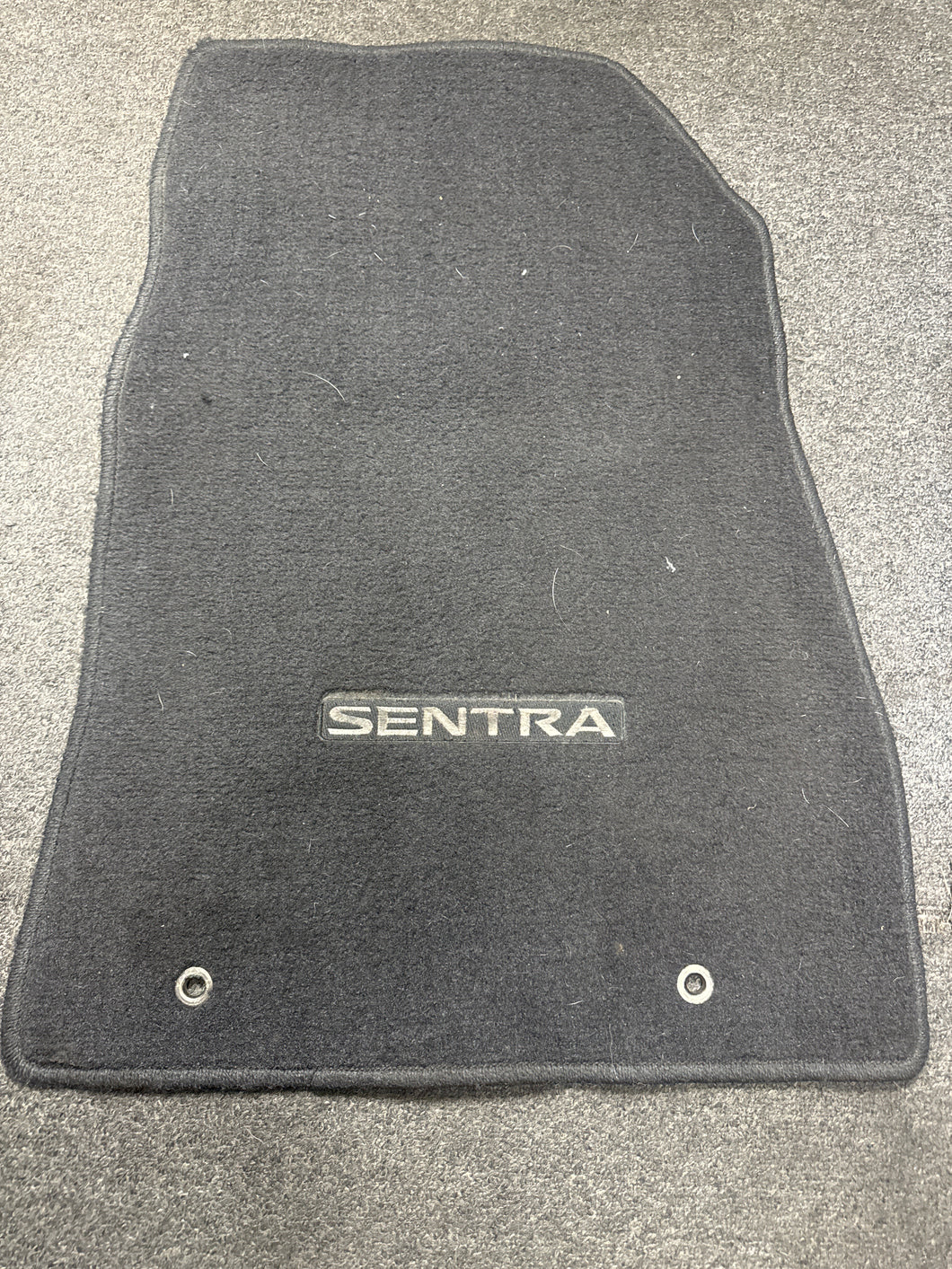 2013-2019 NISSAN SENTRA RIGHT PASSENGER SIDE MAT RUG COVER (RH) (P) PN: 999E2 L200