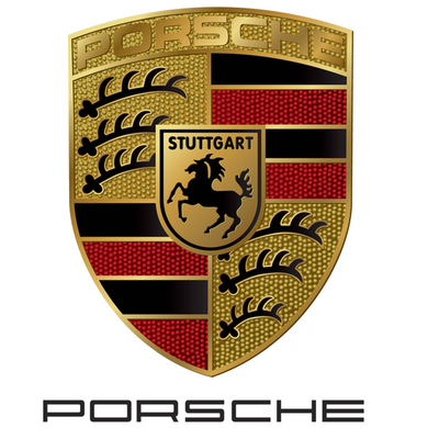 PORSCHE AIRBAG MODULE RESET ON-LINE