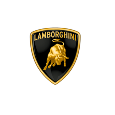 LAMBORGHINI AIRBAG MODULE RESET WALK-IN