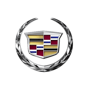 GM AIRBAG MODULE RESET WALK-IN
