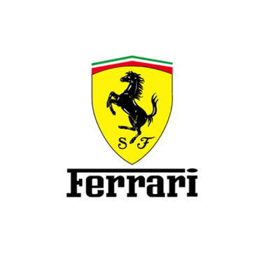 FERRARI AIRBAG MODULE RESET WALK-IN