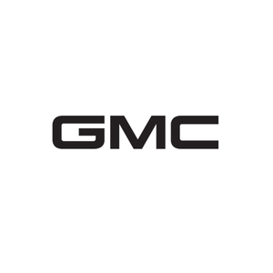 GM AIRBAG MODULE RESET WALK-IN