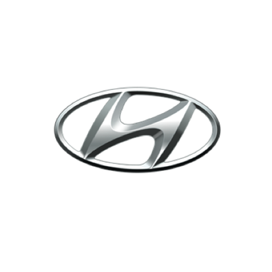 HYUNDAI/KIA AIRBAG MODULE RESET WALK-IN